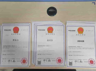 注冊公司 代理記賬公司注冊提供個體戶注冊、內資公司注冊服務